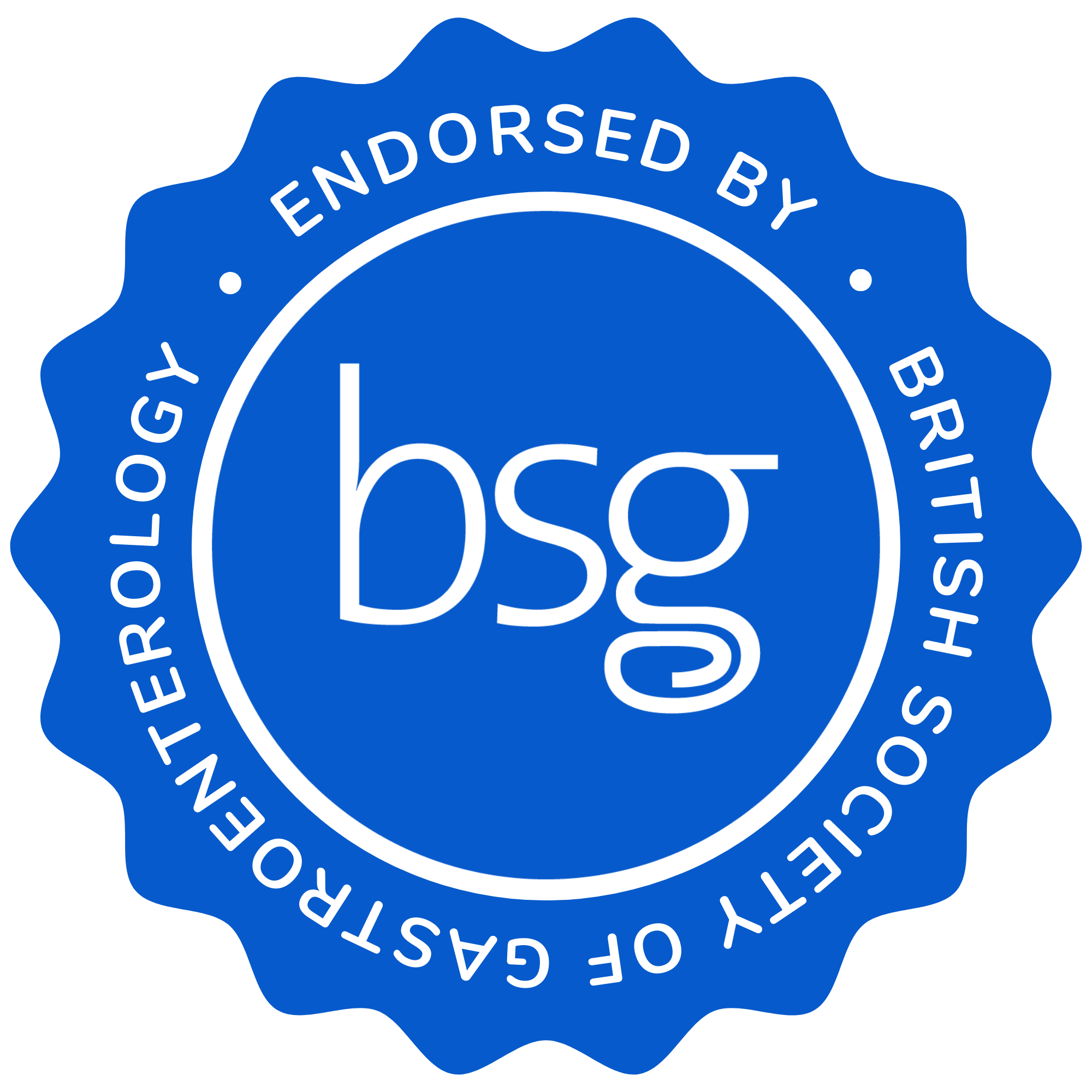 BSG Logo