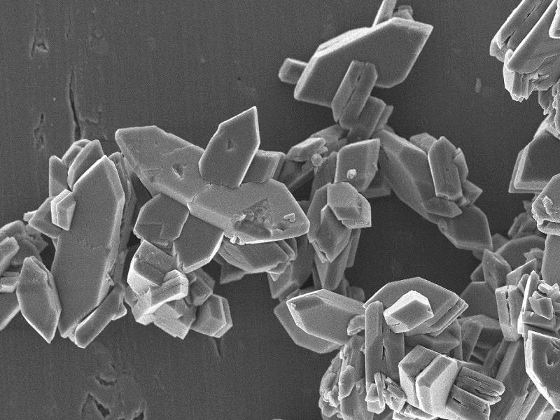 Magnified image of crystal growth
