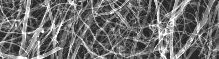 Carbon nanotube