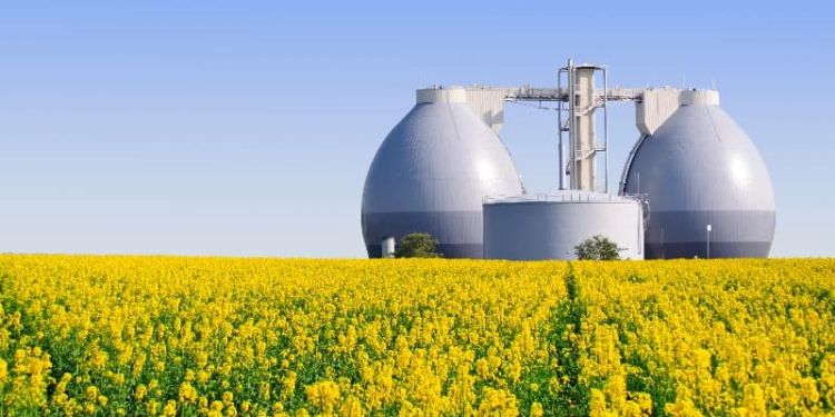 biogas plant with rapeseed field
