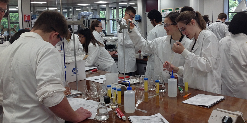Schools outreach lab work