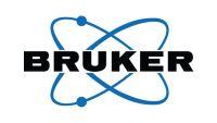 Bruker Company Logo