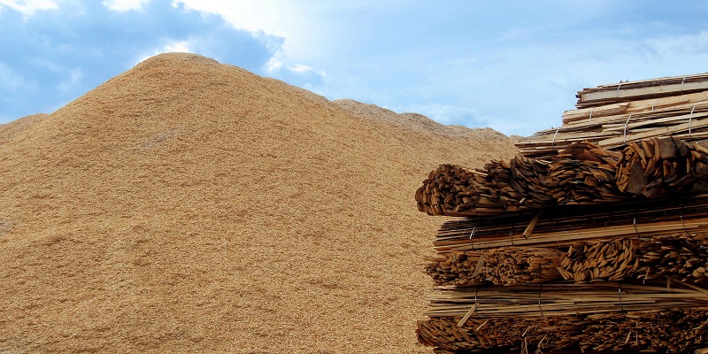 biomass wood