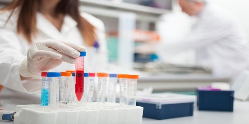 Pharmacist inspecting test tube samples