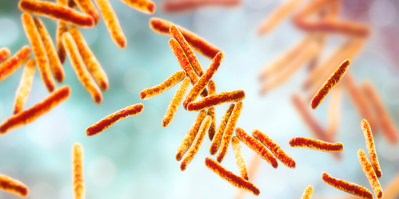 Bacteria Mycobacterium tuberculosis, the causative agent of tuberculosis, 3D illustration.