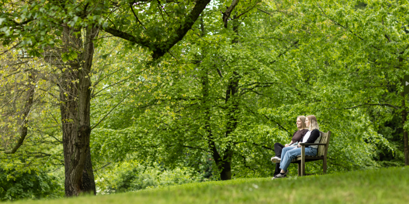 Integrating Intercultural Cities through Belonging in Green Spaces