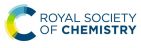 Royal Society of Chemistry Logo