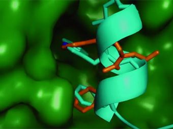 £3.4 million collaborative programme addresses protein-protein interactions