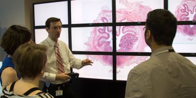 A photograph of four people stood looking at an image via virtual microscope technology.