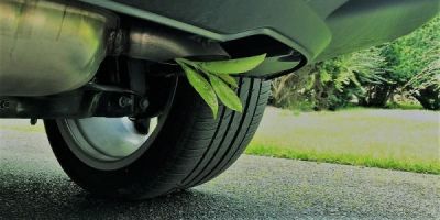 A car exhaust with a green plant growing out of it