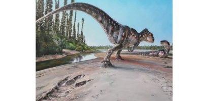 James McKay's dinosaur footprint illustration featured on BBC Look North