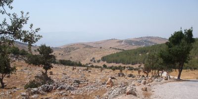 Leeds researchers lead UK-Jordan centre for climate-resilient agriculture