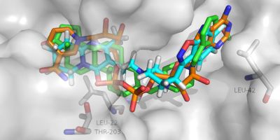 Predicted binding of risperidone to 17-HSD10: (a) overlay of risperidone (cyan), RM-532-46 (green) and NAD co-factor (orange), modelled in the active site of 17-HSD10 (PDB-ID: 1U7T)