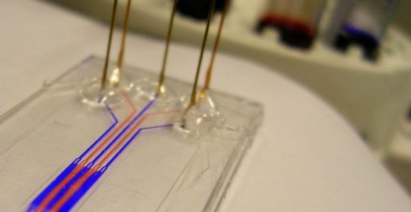 Microfluidics demonstrated on a clear chipboard