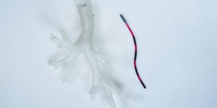 Close up of a magnetic tentacle robot next to a phantom bronchiole