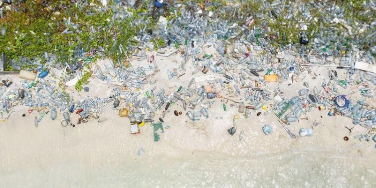 ‘Act now’ to reduce global plastic pollution, say experts