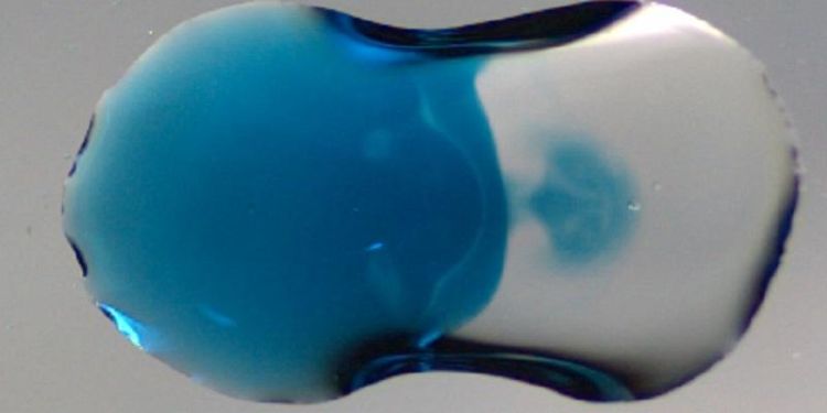 Lights, camera, action… the super-fast world of droplet dynamics