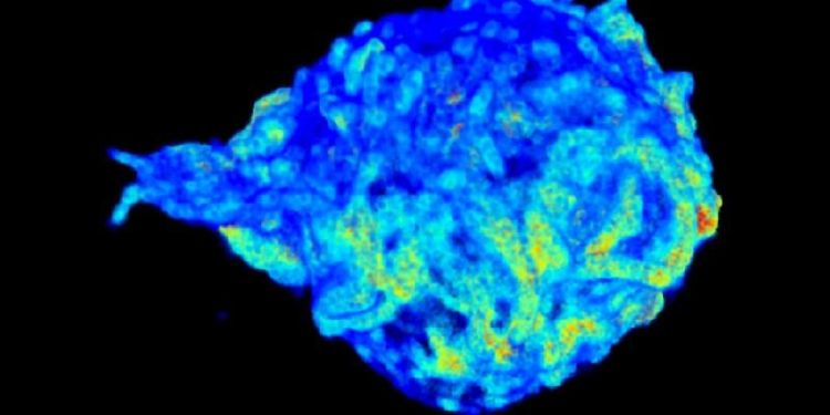 New super-resolution imaging facility to video molecules in real time
