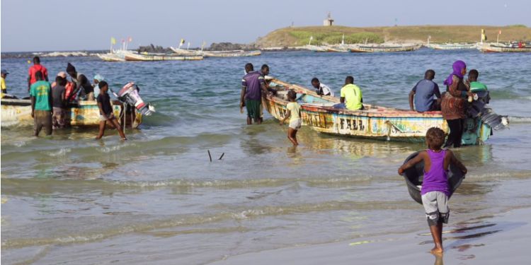 Dakar fishing jadu