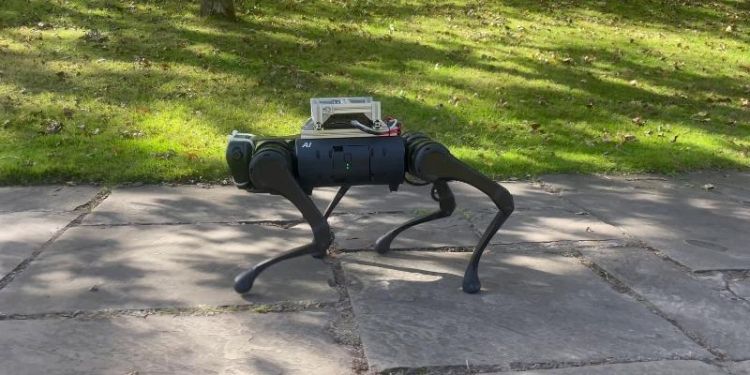 Meet Clarence, the animal-inspired robot making a world-first leap in how robots walk