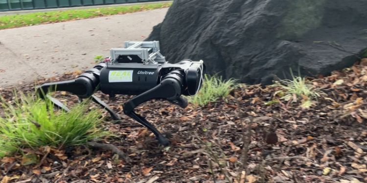 Robot dog walking across woodchips