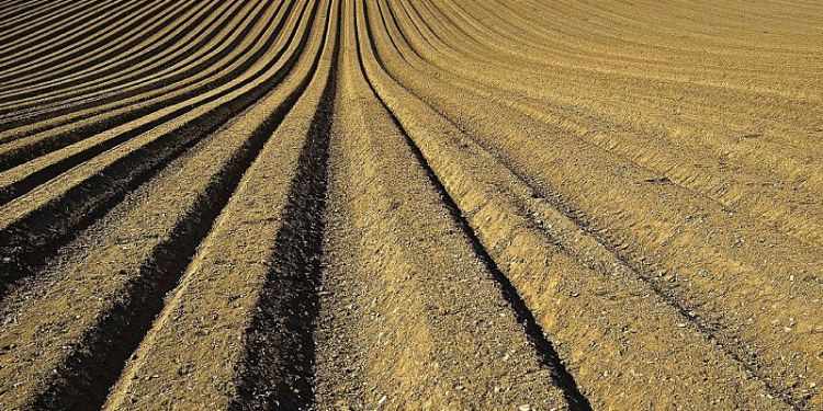 Identifying the effectiveness of soils for low-carbon technology