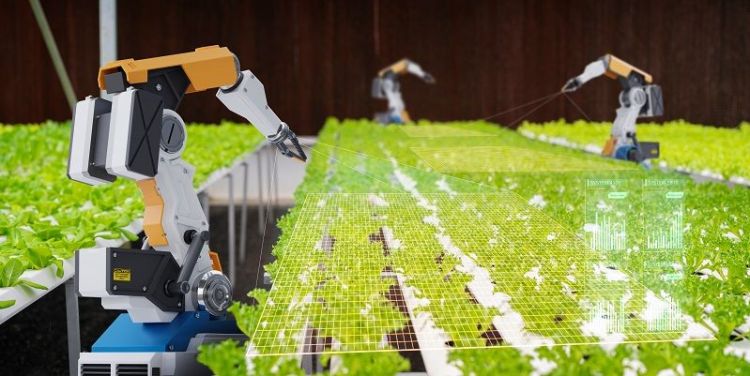 Can robotics help us achieve sustainable development?