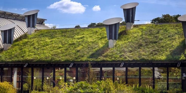 sustainable building with green roof