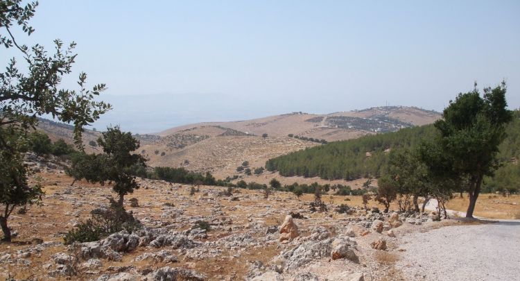 Leeds researchers lead UK-Jordan centre for climate-resilient agriculture