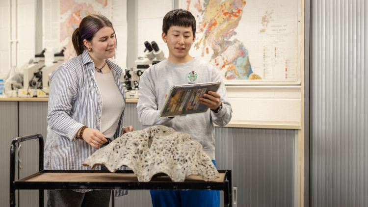 Earth and environment students in the lab analysing rocks