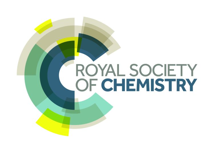 Leeds scientists win prestigious Royal Society of Chemistry prizes