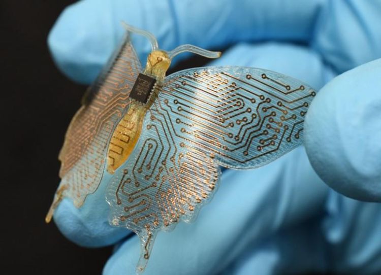 A picture of a 3D Printed electronic circuit shaped as a butterfly