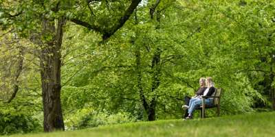 Two people sitting on a bench in a park surrounded by trees.